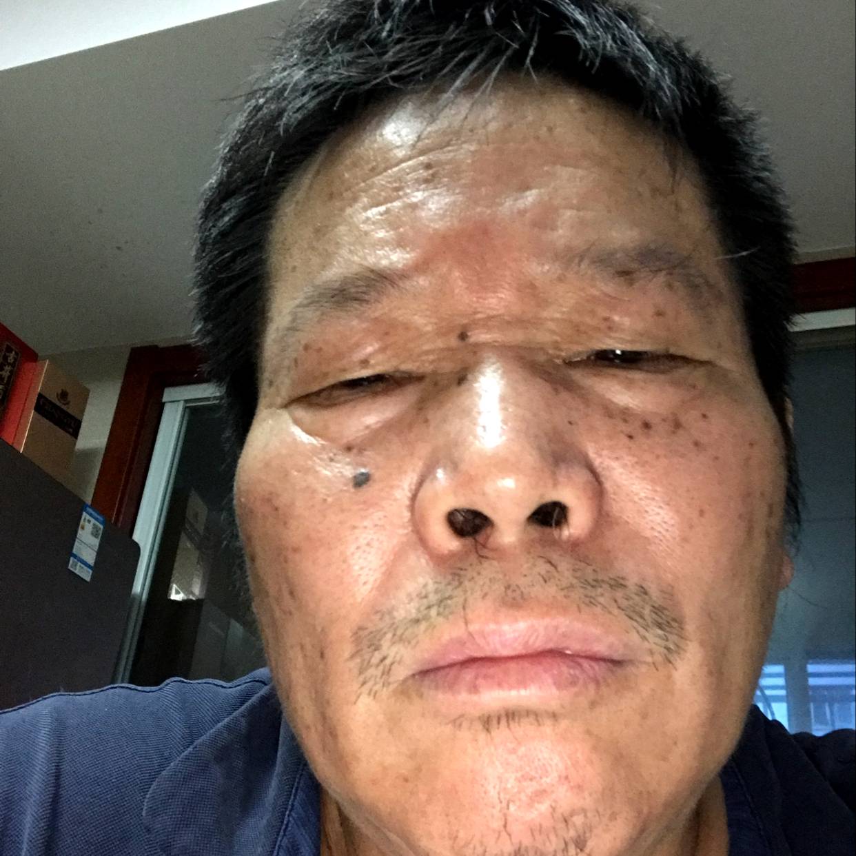 鲤鱼迎日记本的照片