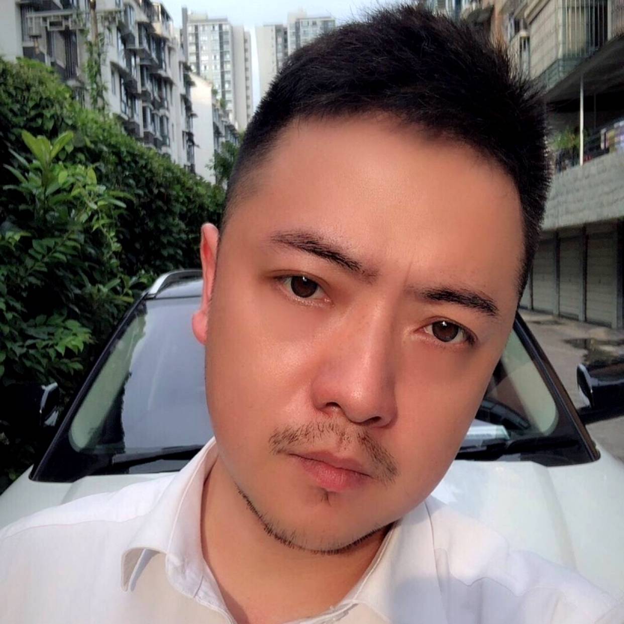 粗犷停止红牛的照片