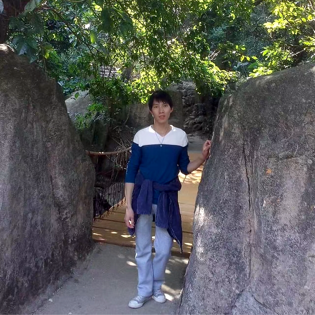 羊方烂漫的照片