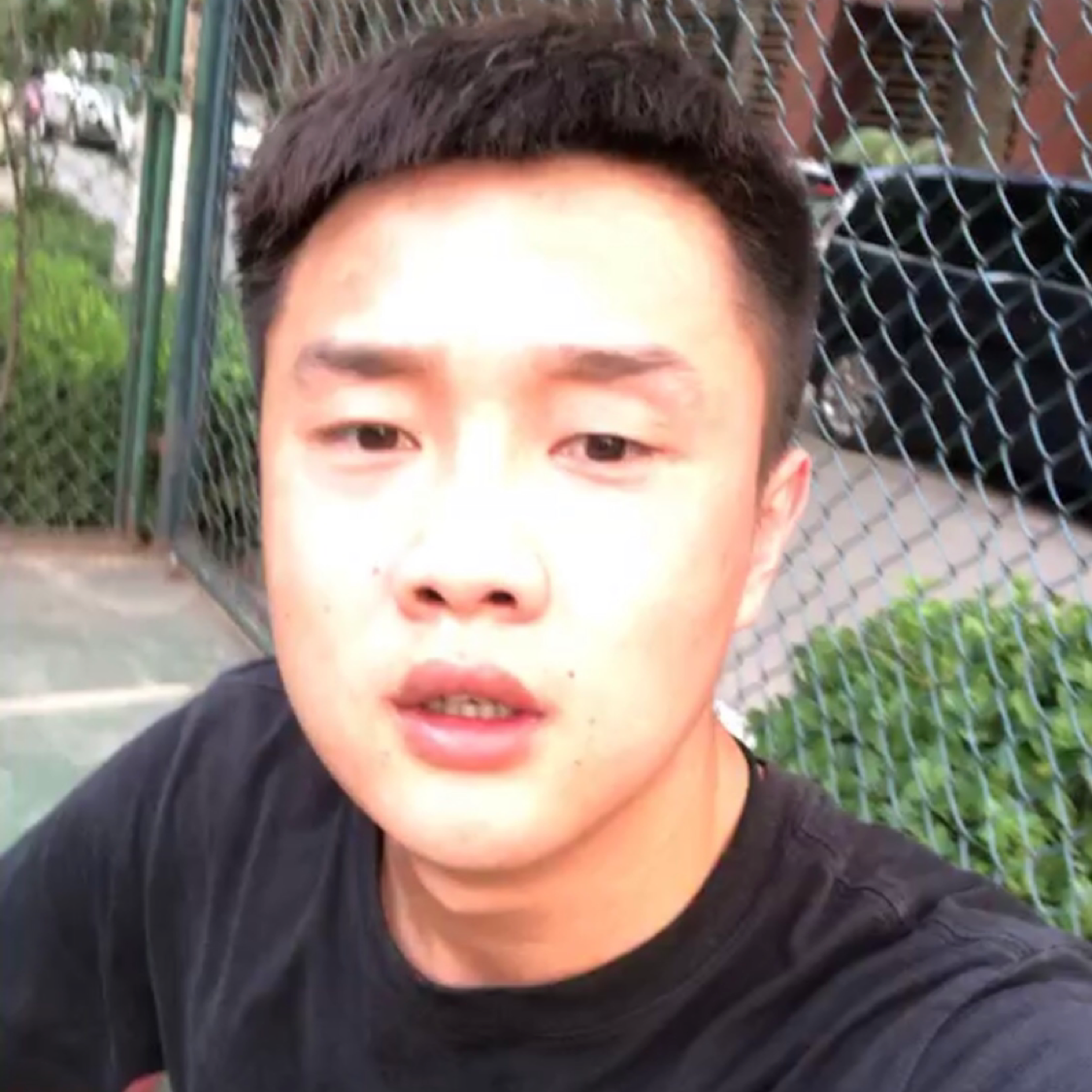 一只麻雀的照片
