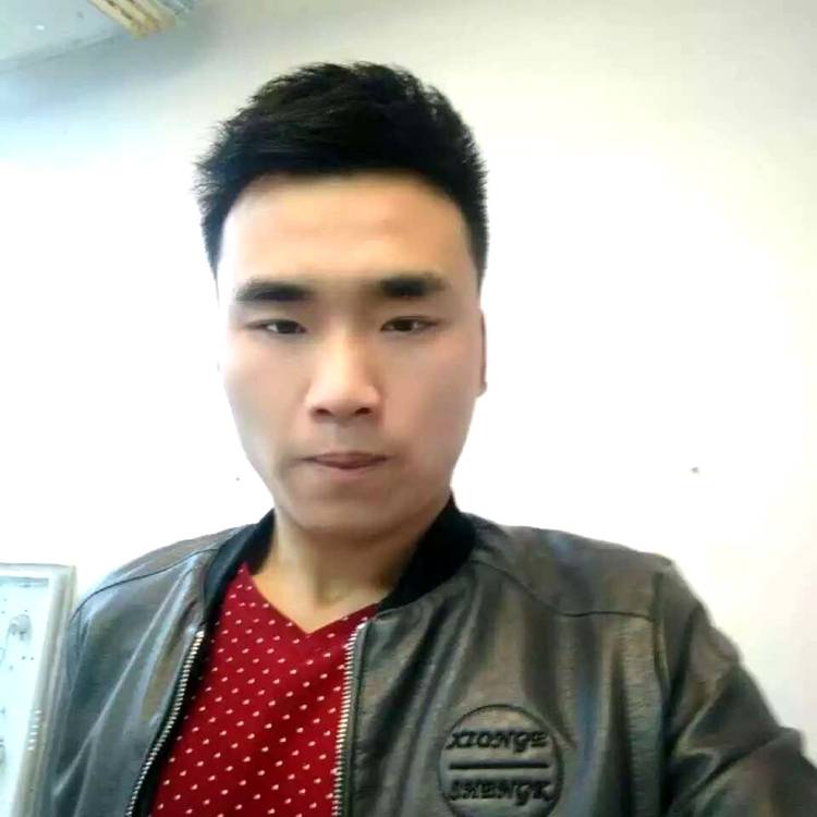 孝顺方大象的照片