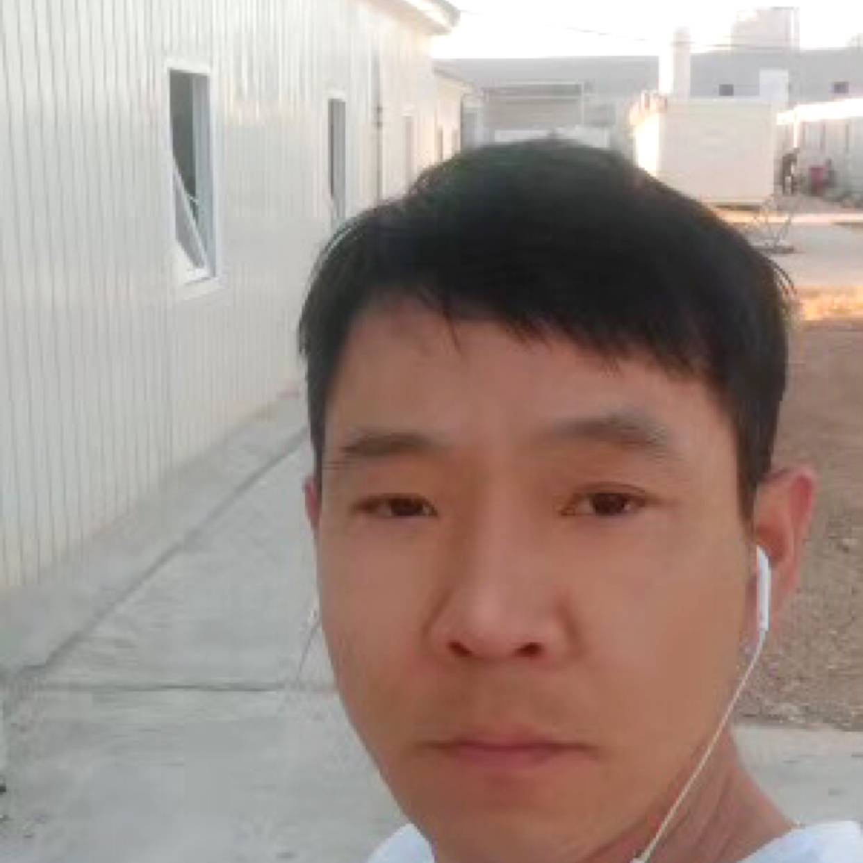 阳光和火龙果的照片