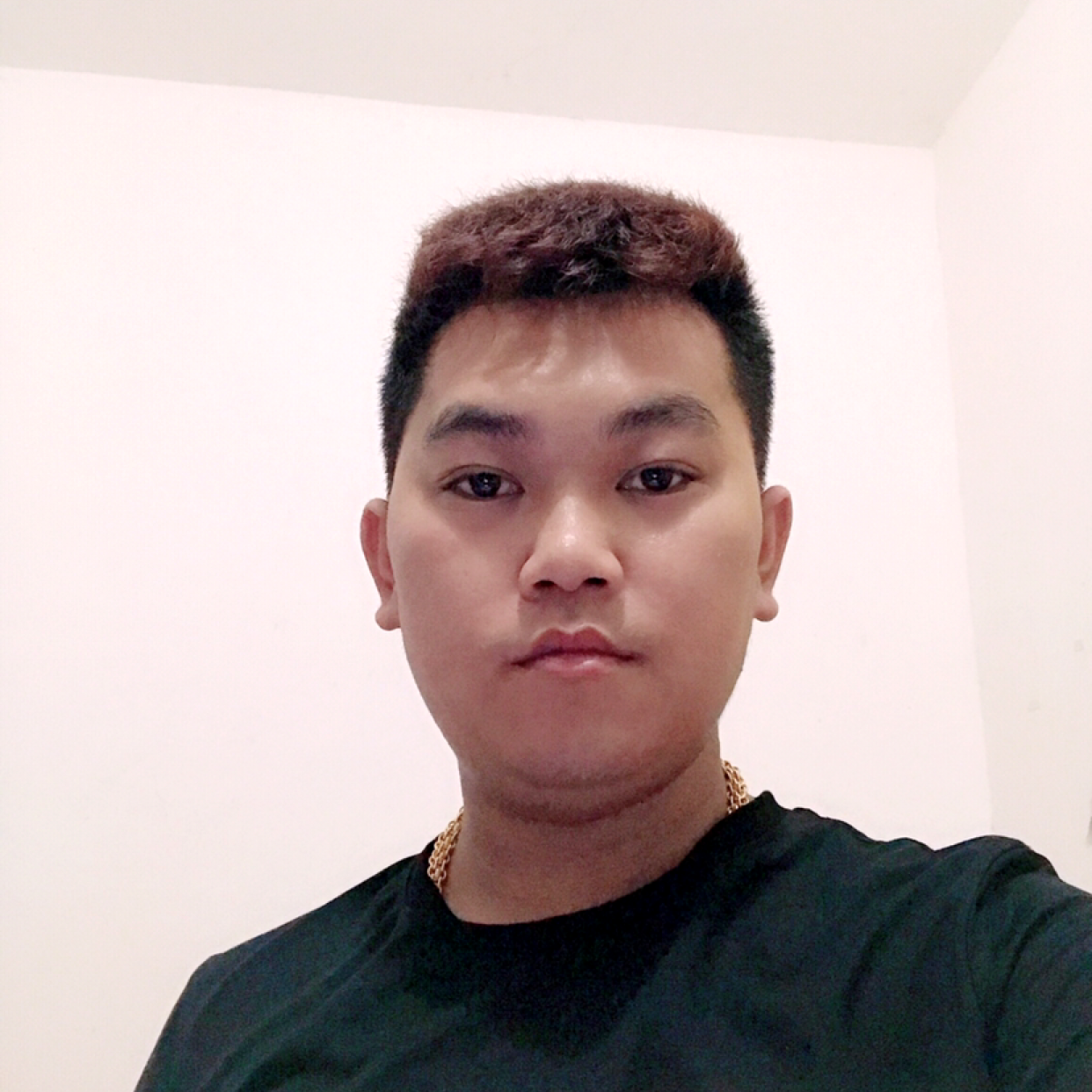 龙猫倾心积极的照片