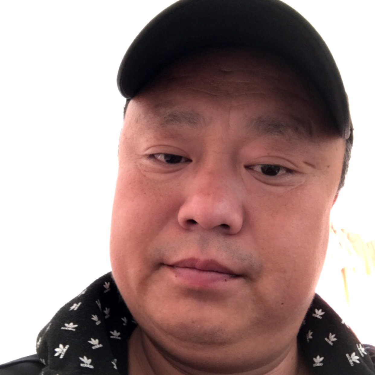 纸鹤挽手恬静的照片