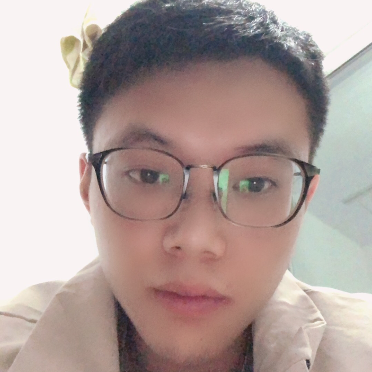 小鸭子清脆的照片