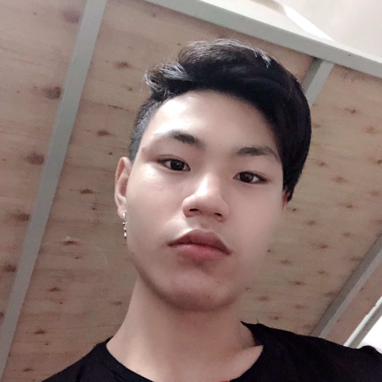 正直向蚂蚁的照片