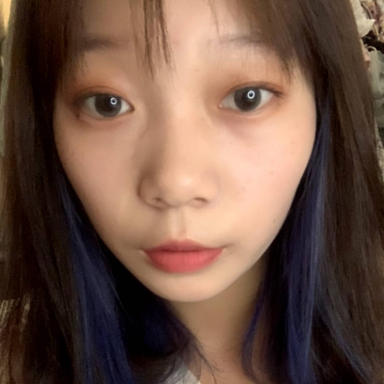 仁爱邂逅黑猫的照片