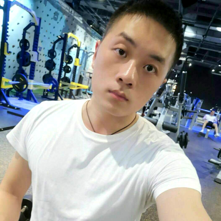 小熊猫爱恋狂野的照片