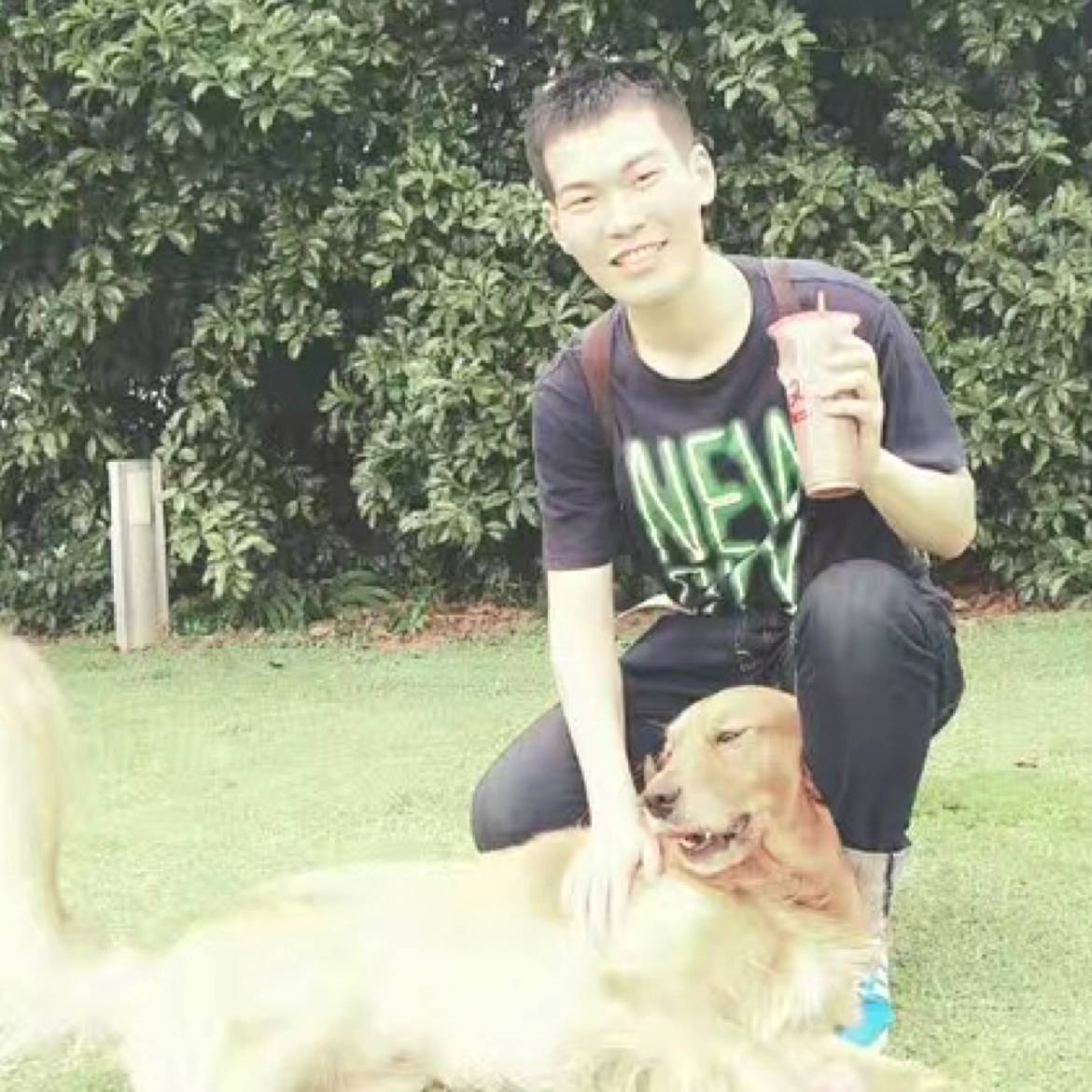 IEIS的照片