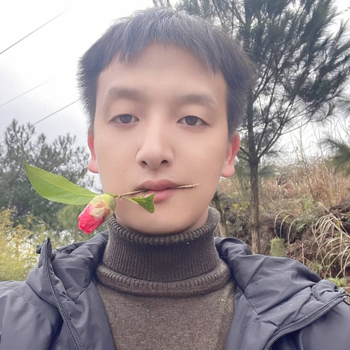 迅速米花的照片