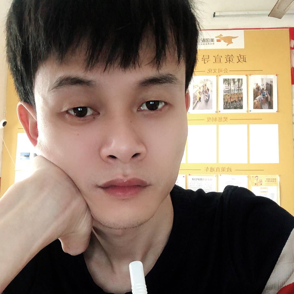 绝影請绚烂的照片