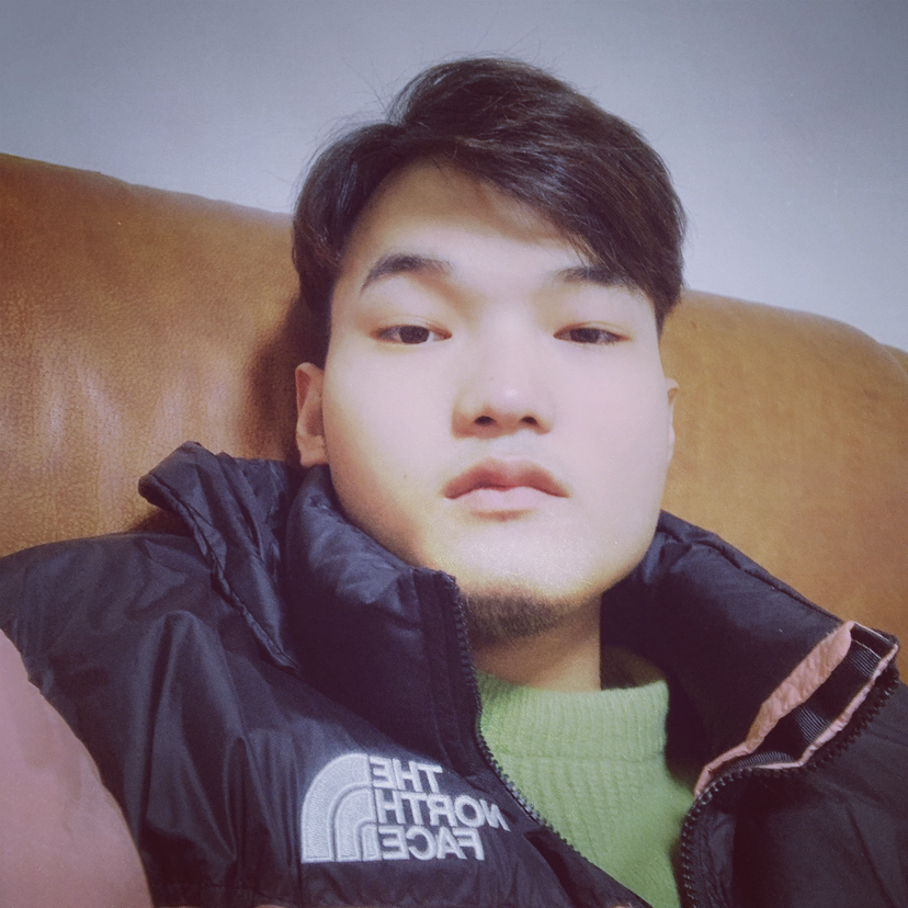 小白菜停止缓慢的照片