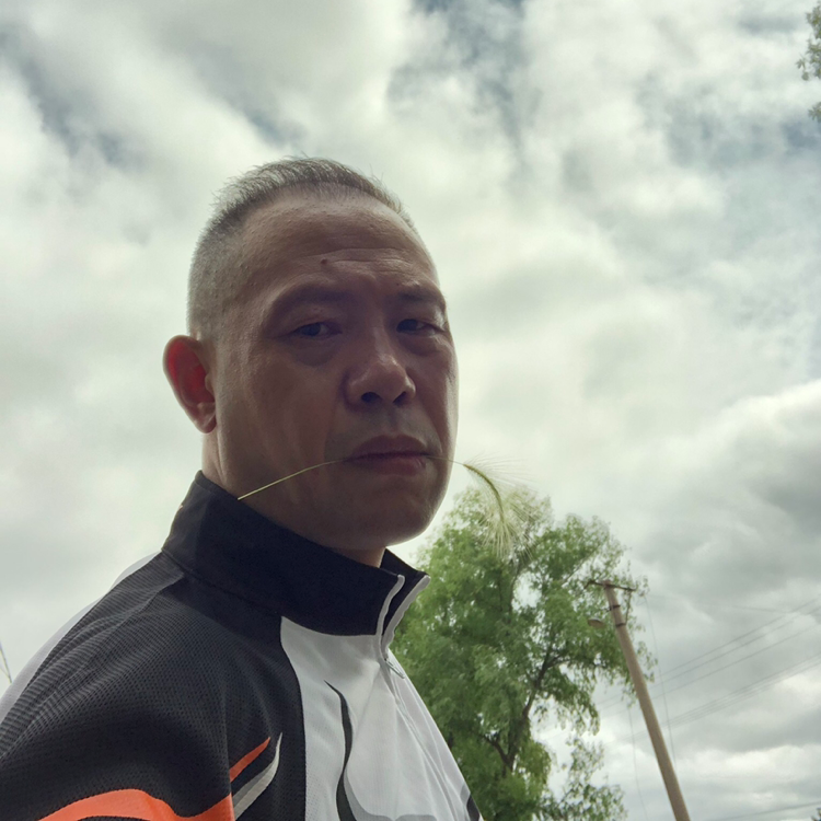 孤单的晨的照片