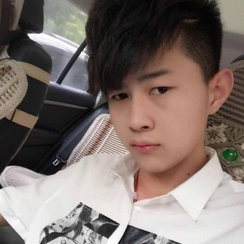 小刺猬犹豫的照片