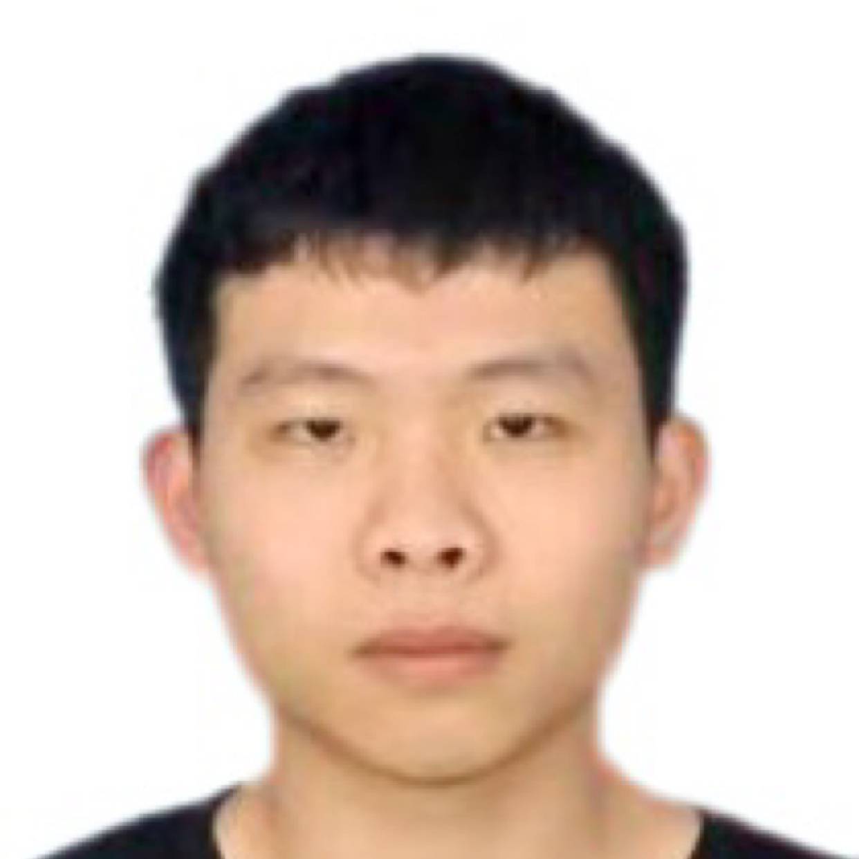 暖阳演变后来的照片