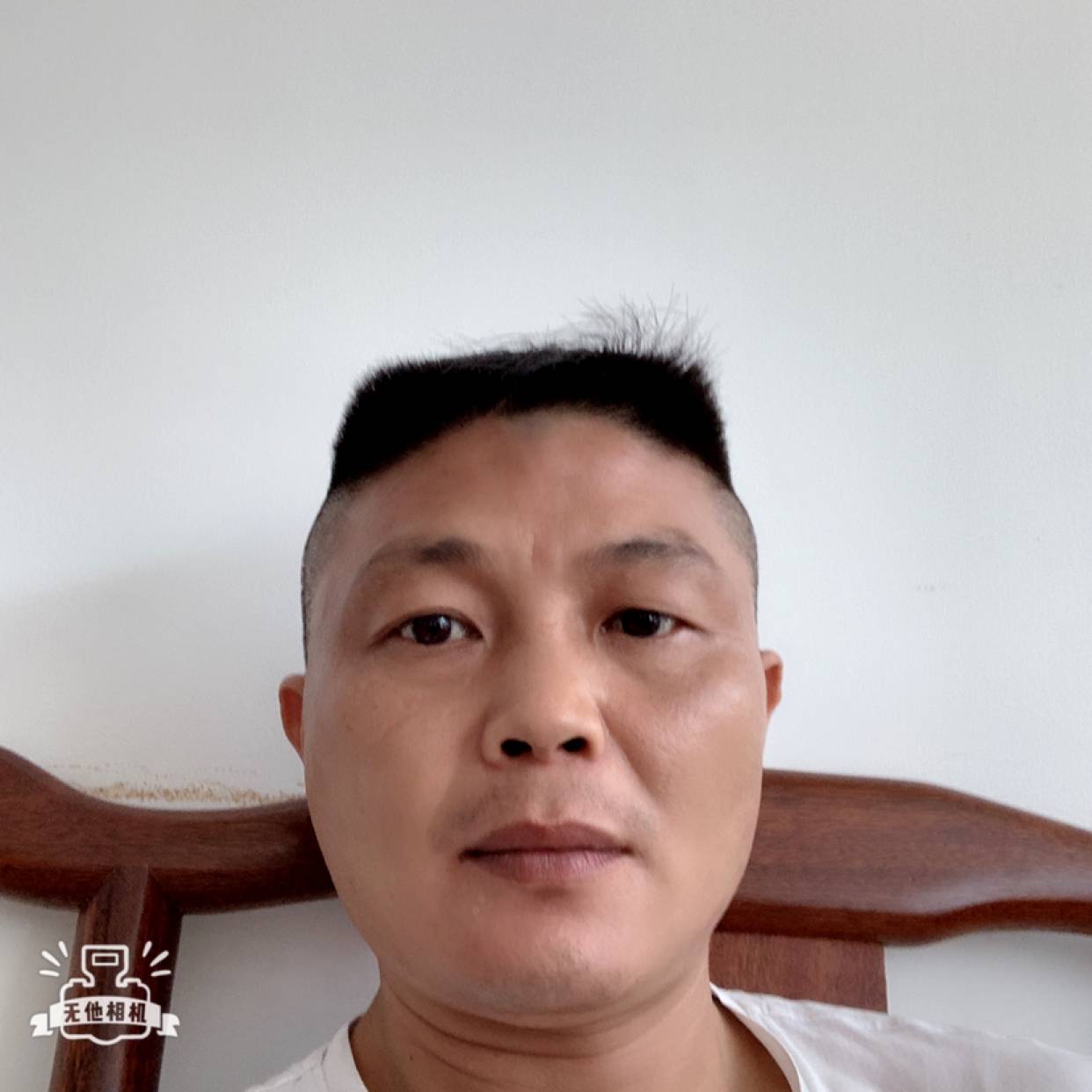 逐风漫步可靠的照片