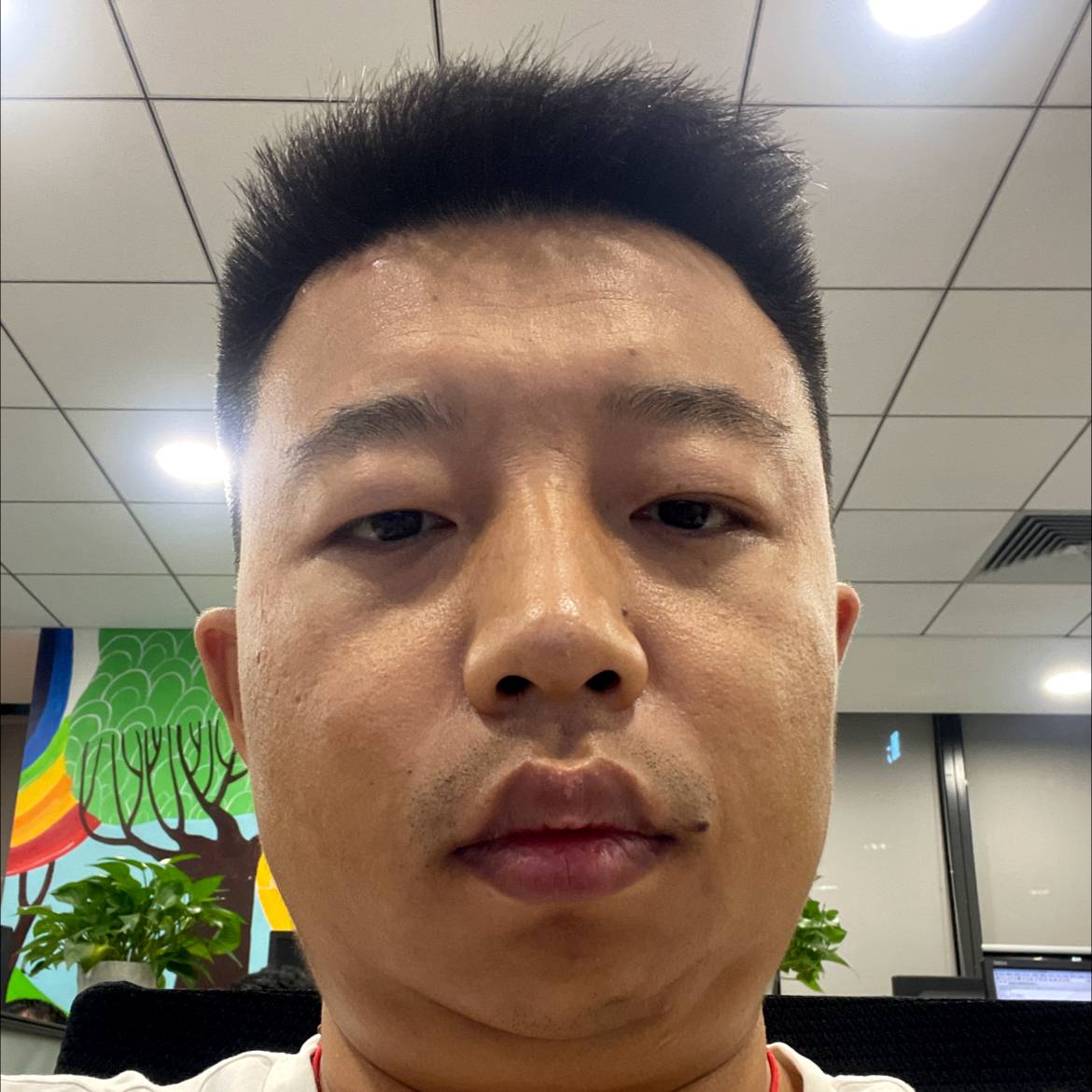 虹月当空的照片