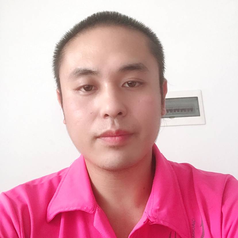 小鸽子找幸福的照片