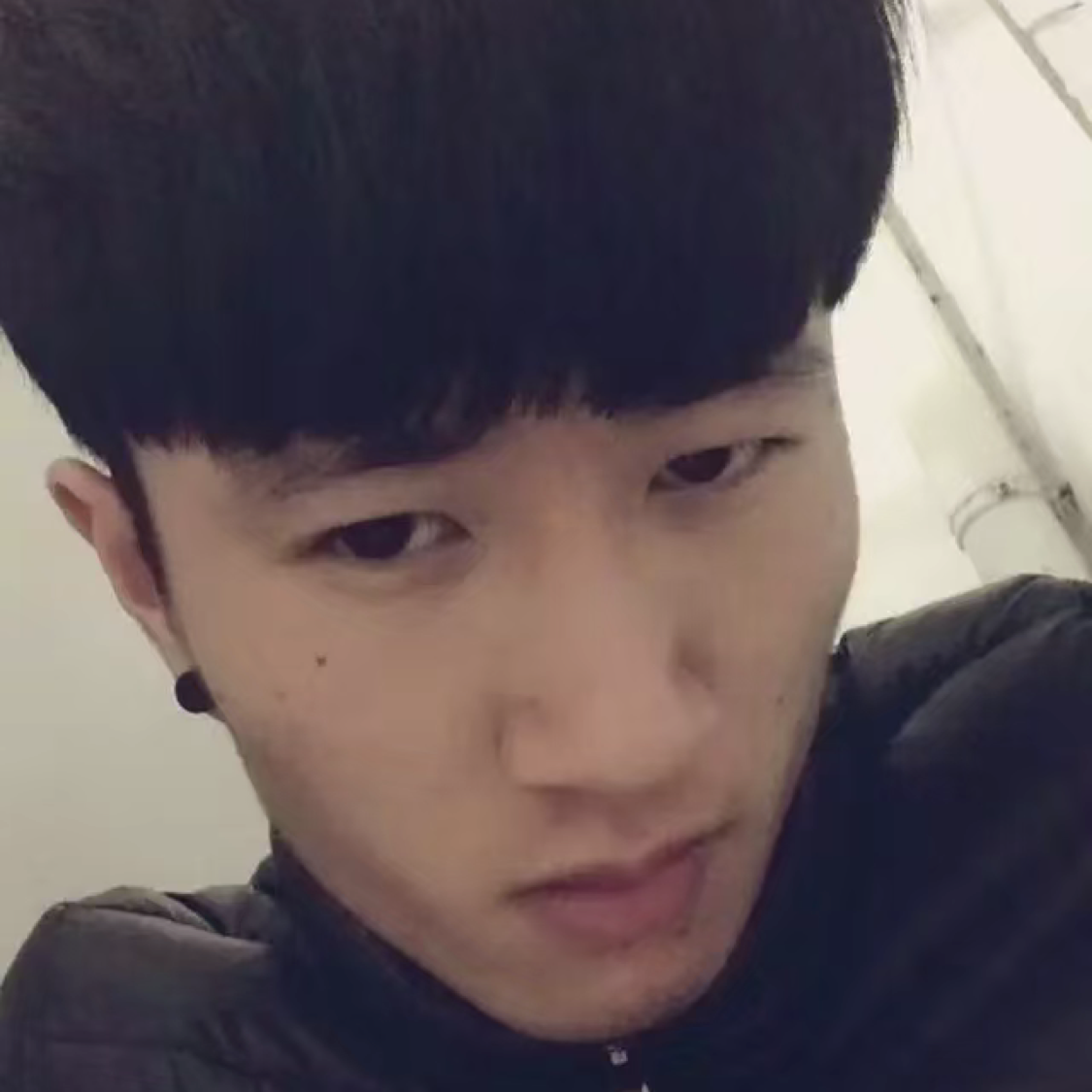 小马达达的照片