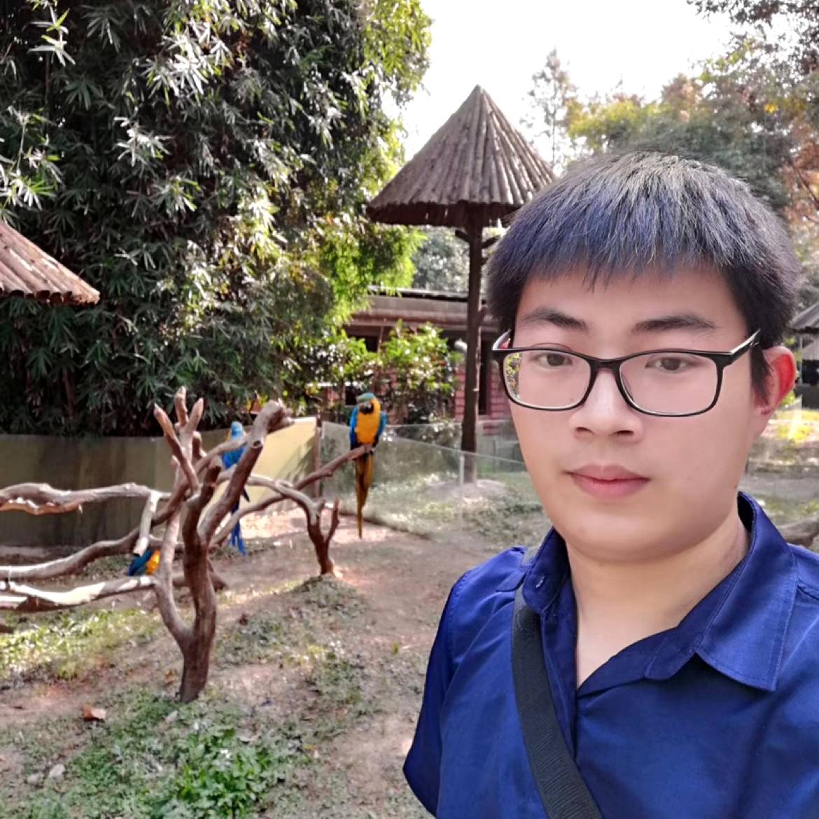 谁家陌上少年的照片