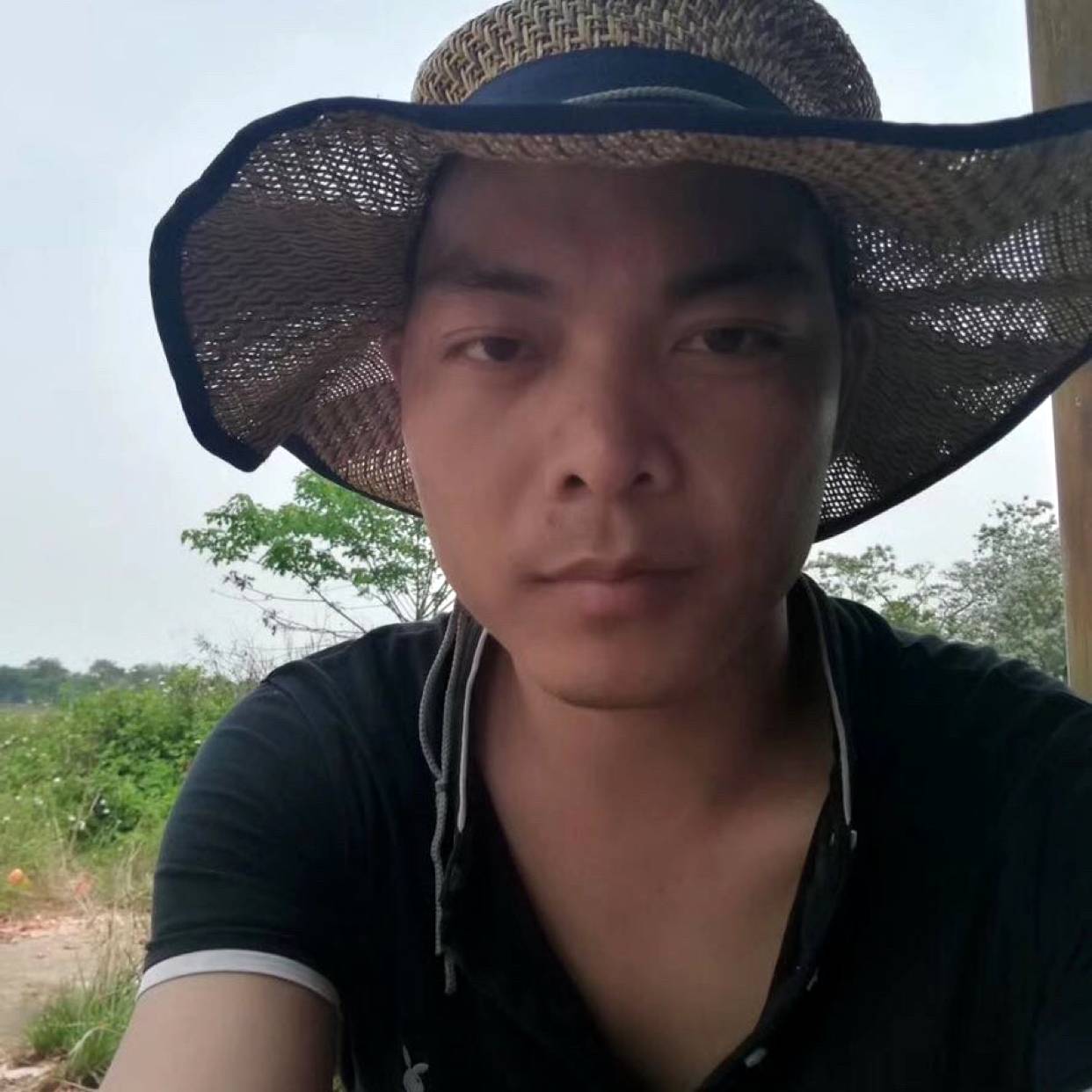 玫瑰漫步甜美的照片