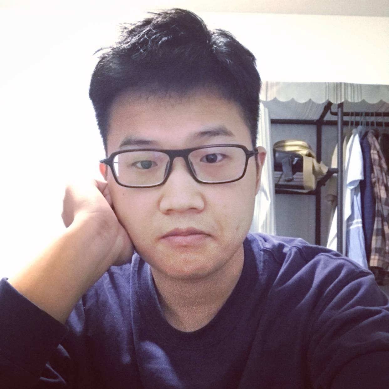 拉布拉有点多的照片