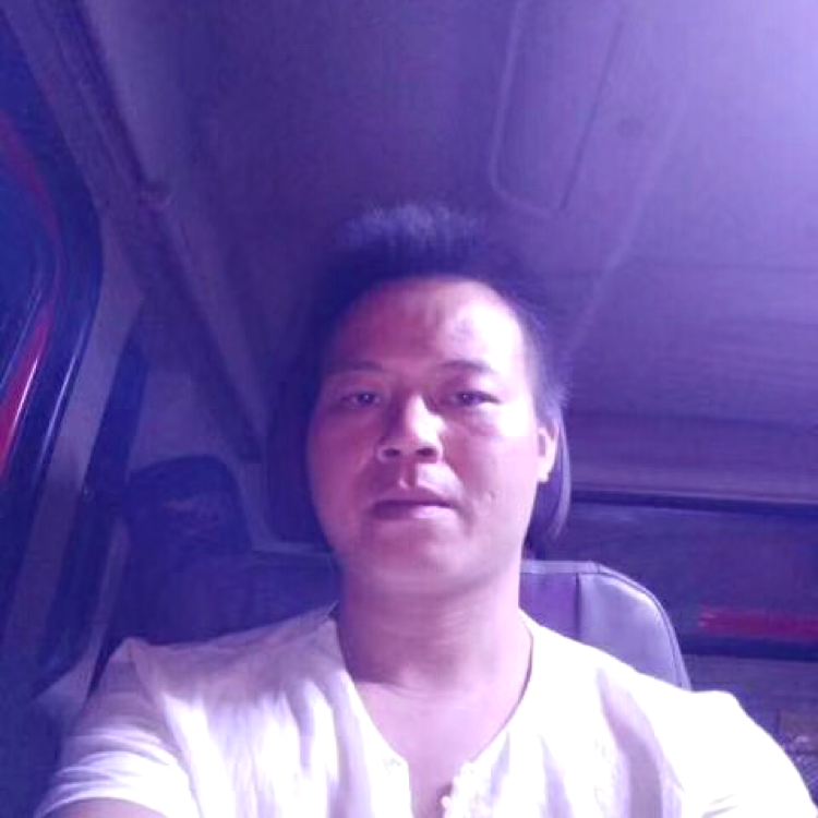 情义难分的照片