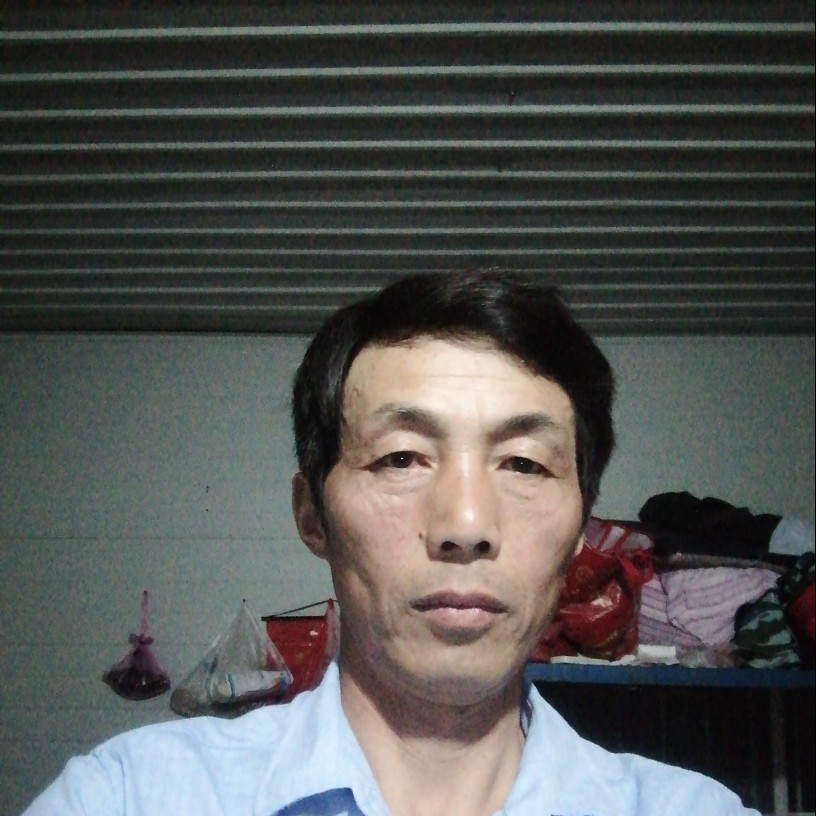 明亮演变蝶舞的照片