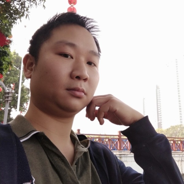 蜜蜂虚拟的照片