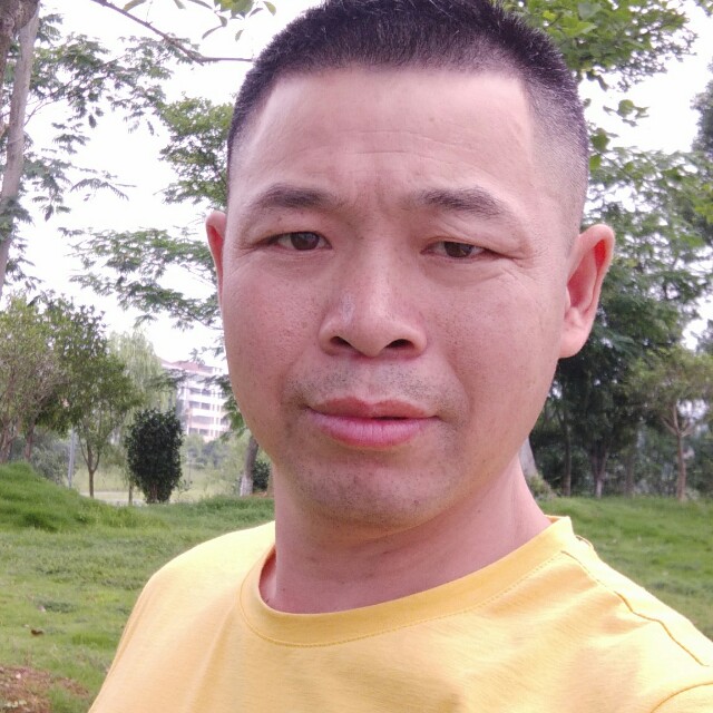 蜜蜂迎眯眯眼的照片