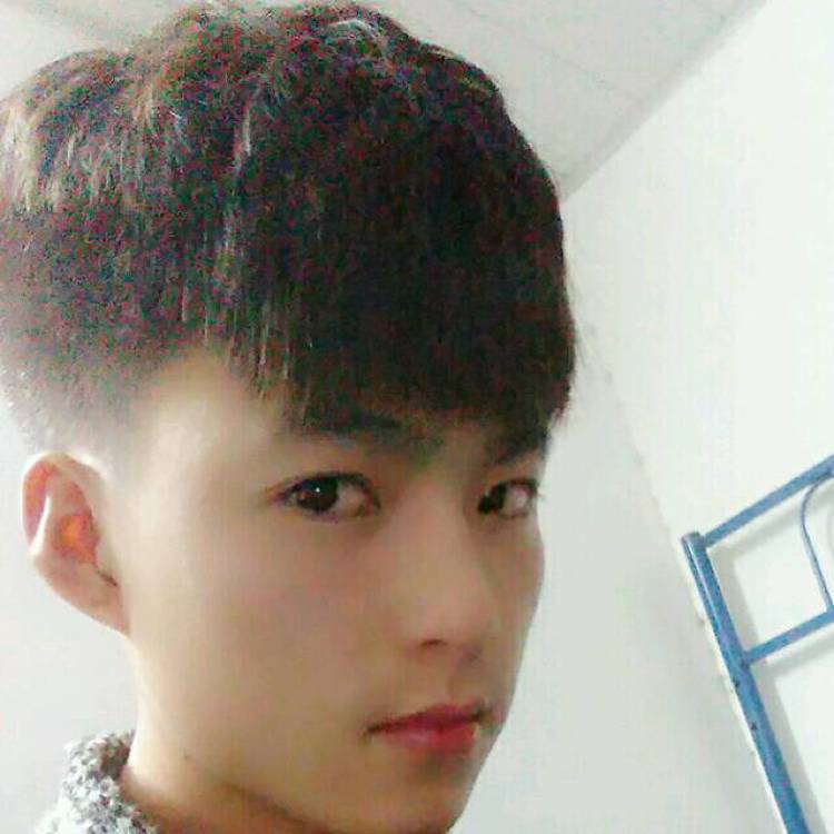 陈情的照片