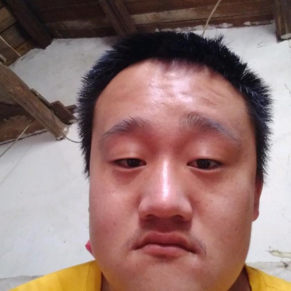 孤心請长情的照片