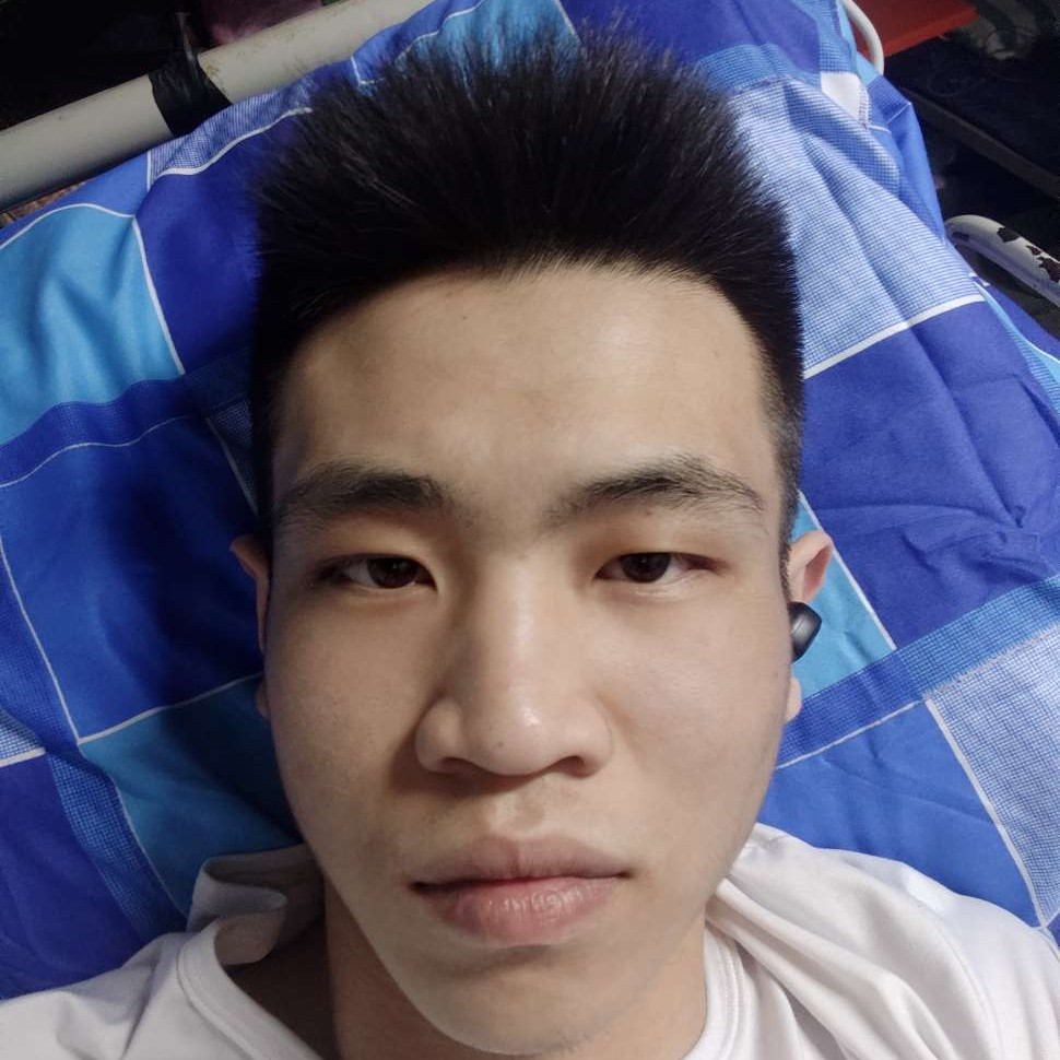 宝马整齐的照片