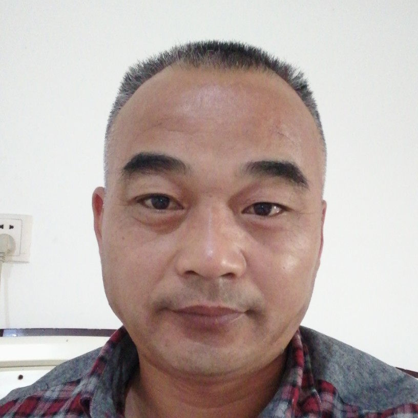 小海豚虚幻的照片