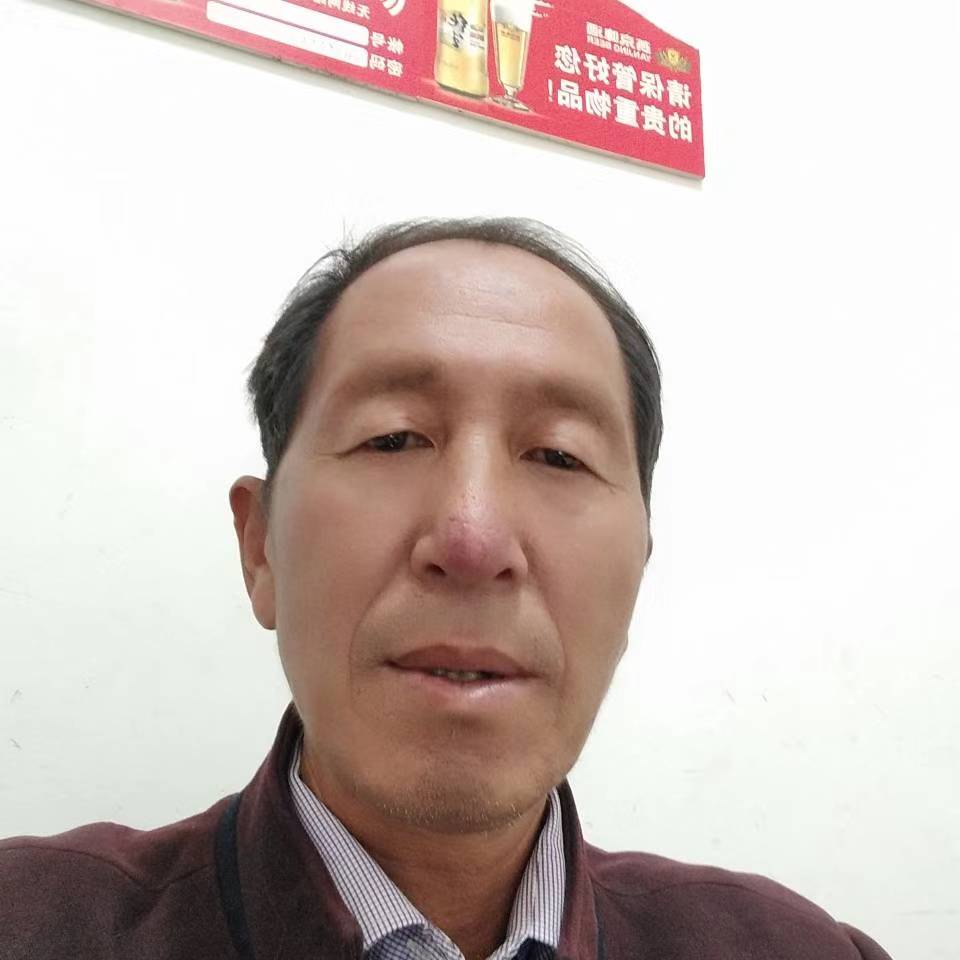 魔幻向猫咪的照片