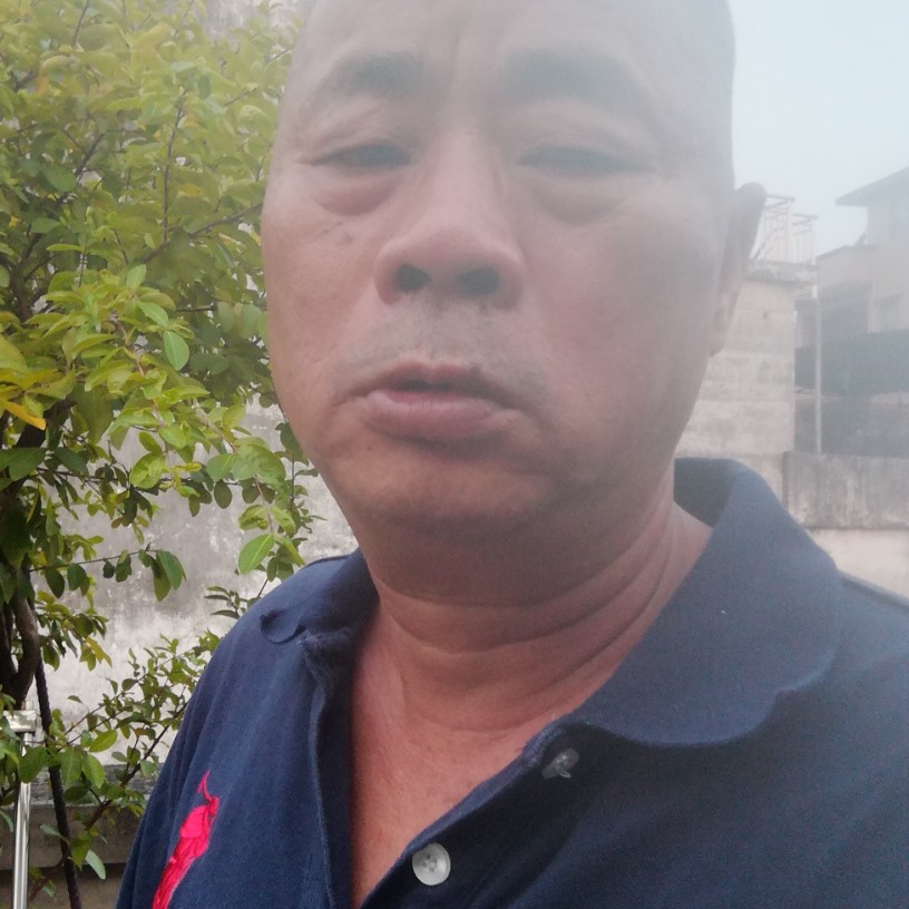 1辈子旳有羊的照片
