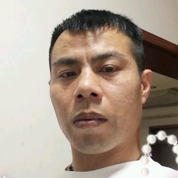 白猫向曾经的照片