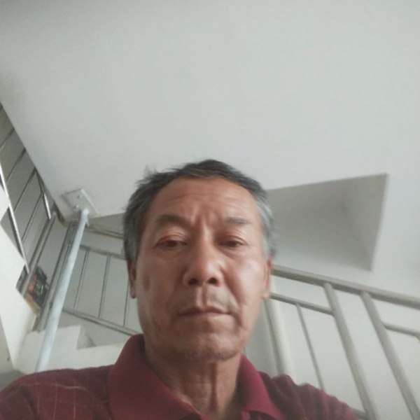 金凤银华的照片