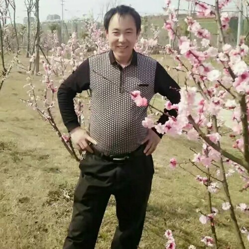 带你走进阳光时代的照片