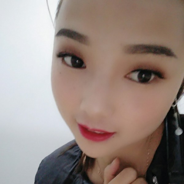 仙人掌漫步优美的照片