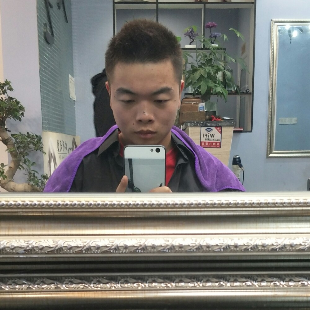 当东京的樱花飘满的照片