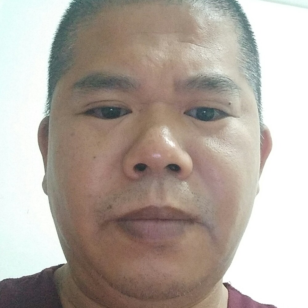 离歌停止深情的照片