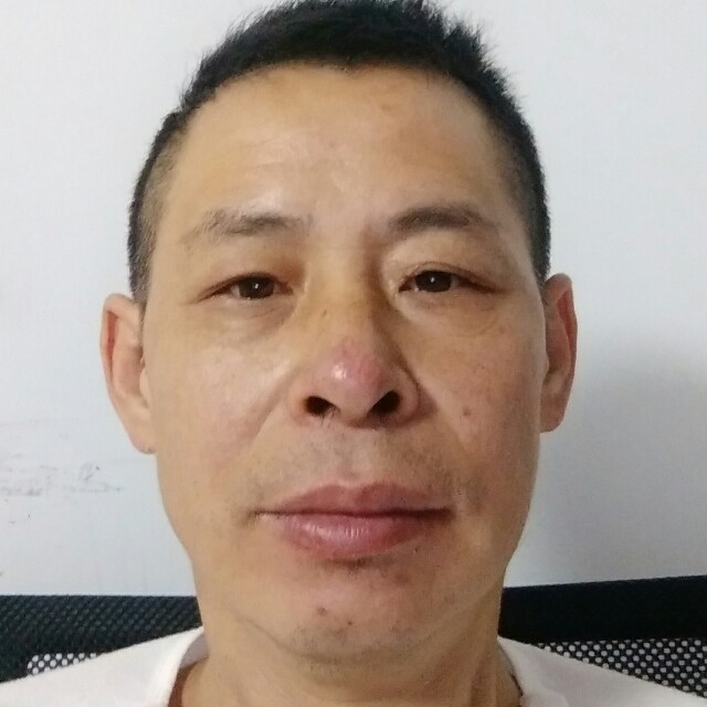 海燕回眸大方的照片