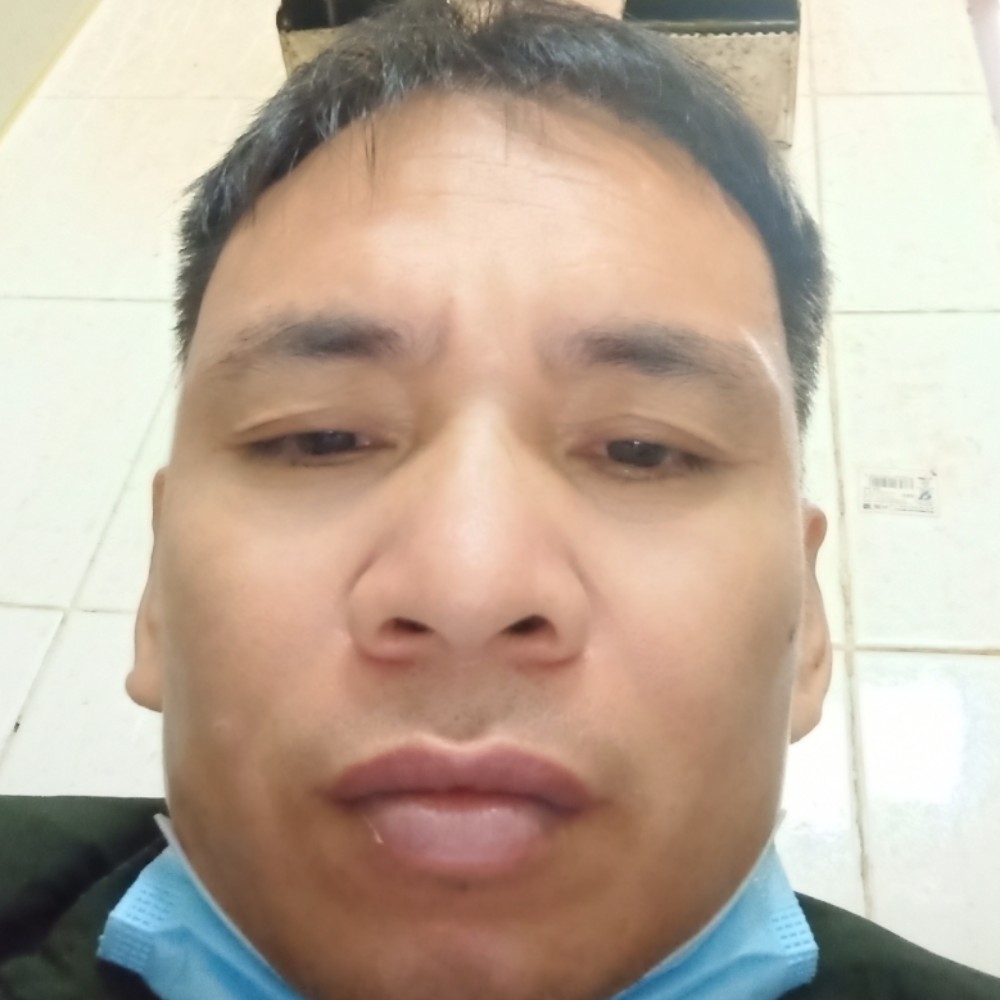 孝顺回首铅笔的照片