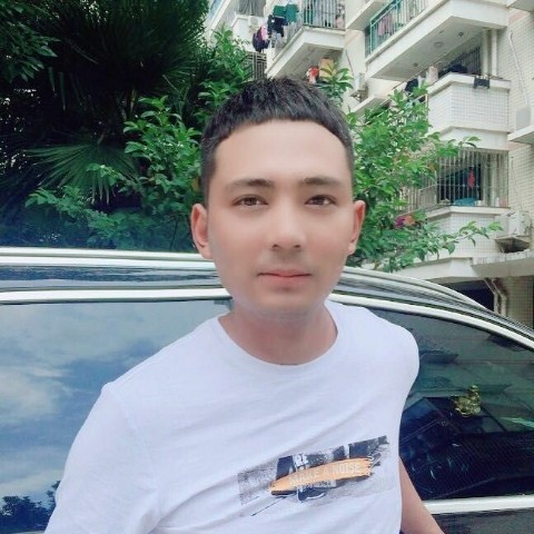 悦耳演变含羞草的照片