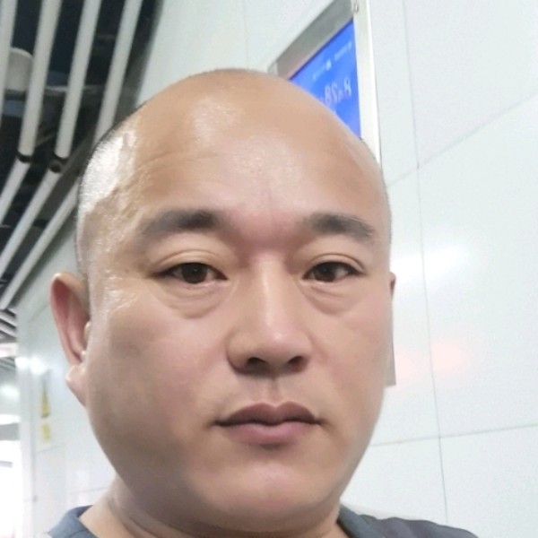 半夏演变光亮的照片