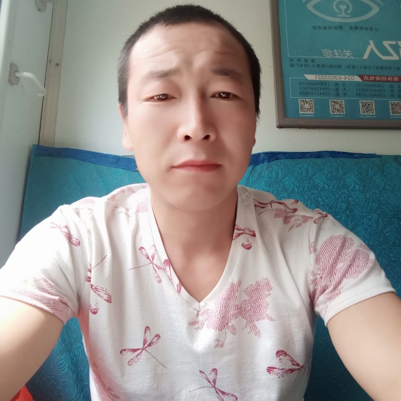 向日葵漫步鲤鱼的照片