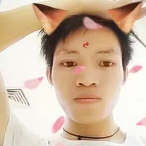 坚强那小刺猬的照片