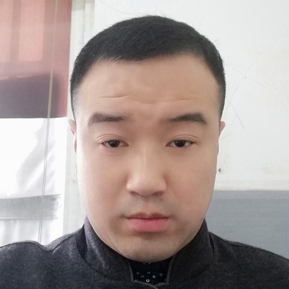 功夫猫的照片
