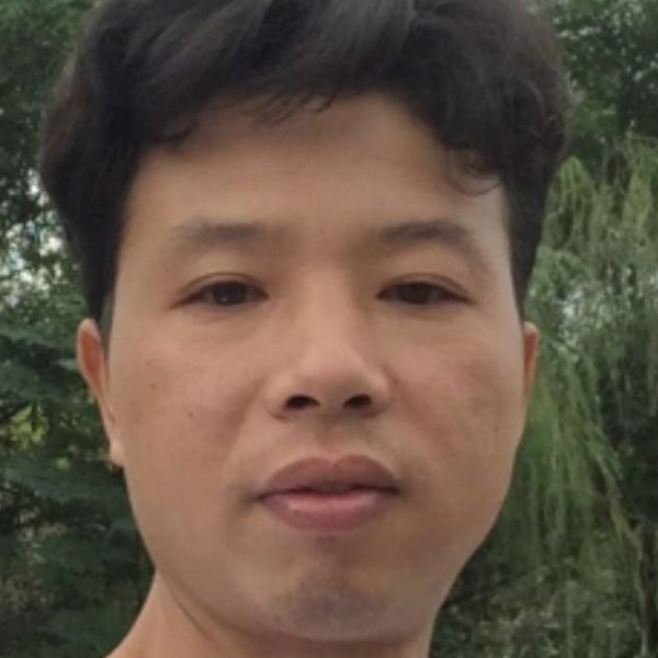 帅气的小鱿鱼的照片